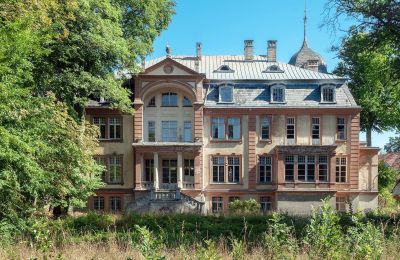 Inmuebles con carácter, Castillo en Brzeźnica, frontera Polonia-Alemania