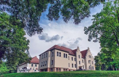 Inmueble histórico en venta Niemcza, Voivodato de Baja Silesia, Imagen 3/27