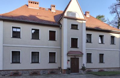 Inmueble histórico en venta Niemcza, Voivodato de Baja Silesia, Imagen 6/27
