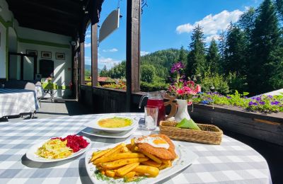 Propiedad histórica en venta Kowalowa, Voivodato de Baja Silesia, Taras restauracyjny front