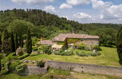 Casa de campo en venta Bagno a Ripoli, Toscana, Imagen 1/40
