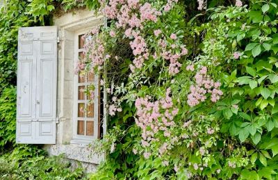 Palacio en venta Centre-Val de Loire, Imagen 11/12