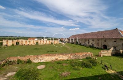 Palacio en venta Kounice, Zámek Kounice, Středočeský kraj, Dependencia