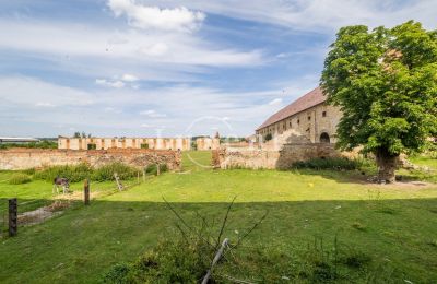 Palacio en venta Kounice, Zámek Kounice, Středočeský kraj, Dependencia