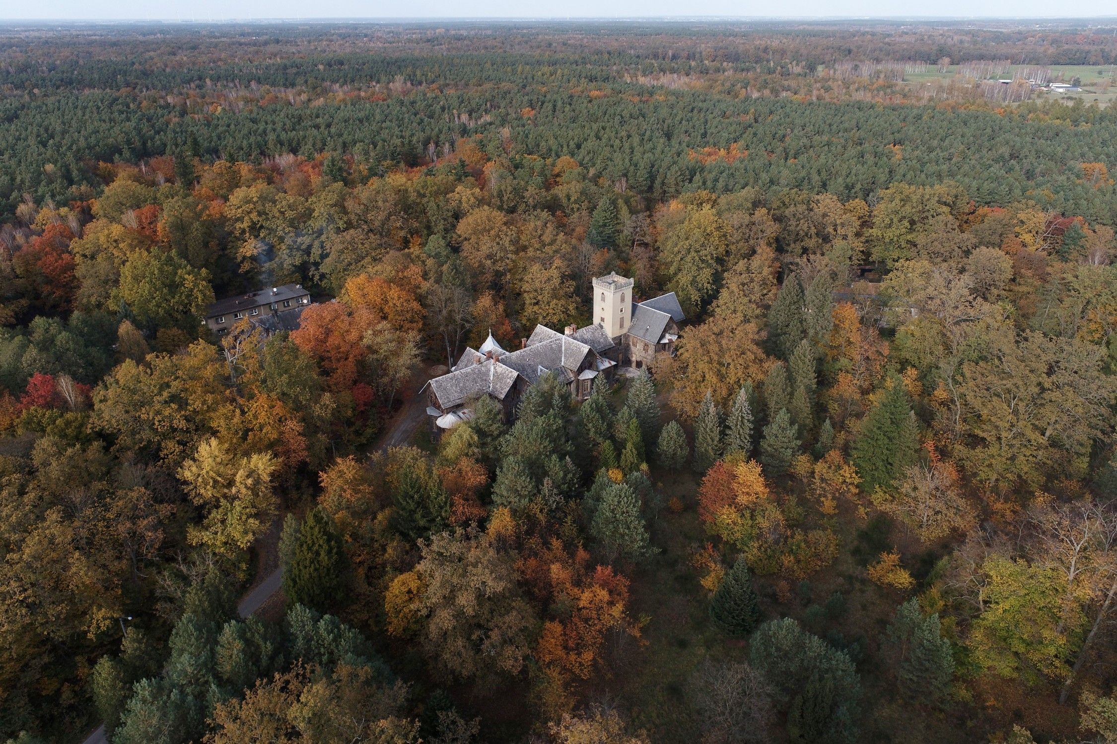 Fotos Castillo forestal en Polonia: una propiedad única en Europa