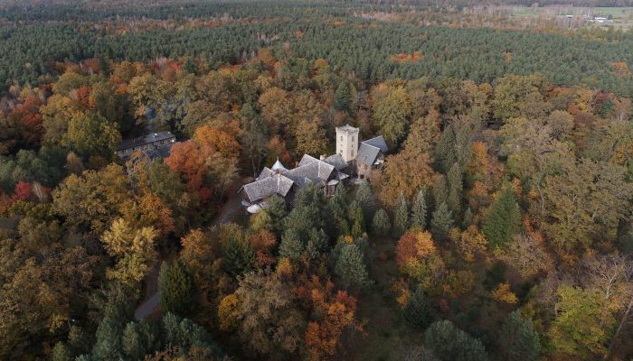 Palacio en venta Sośnie, województwo wielkopolskie,  Polonia