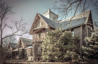 Palacio en venta Sośnie, Jana Sztolcmana 1, Gran Polonia, Pałac Moja Wola