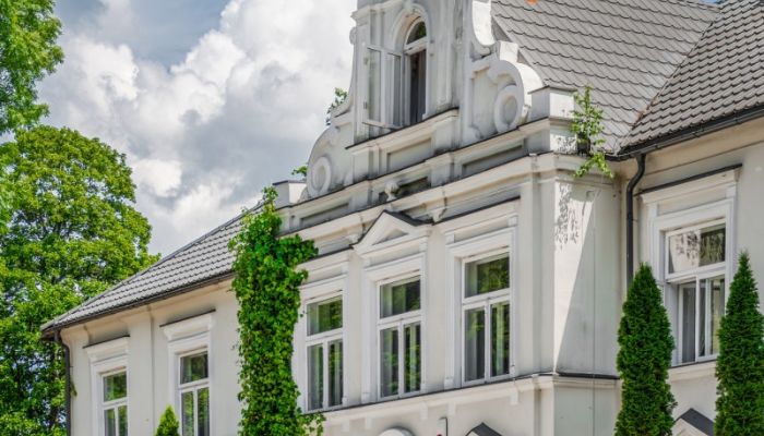  Pstrokonie 5