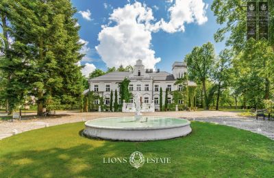 Casa señorial en venta Pstrokonie, Voivodato de Łódź, Imagen 13/50