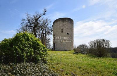 Palacio en venta Monflanquin, Nueva Aquitania, Torre