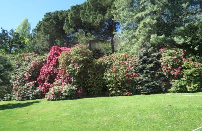 Villa histórica en venta Belgirate, Piamonte, Imagen 34/39