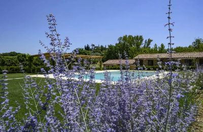 Casa de campo en venta Montepulciano, Toscana, Imagen 17/17