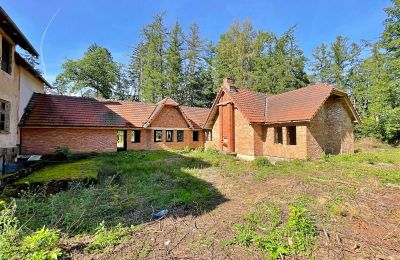 Casa de campo en venta Zegrze Pomorskie, Voivodato de Pomerania Occidental, Imagen 3/7