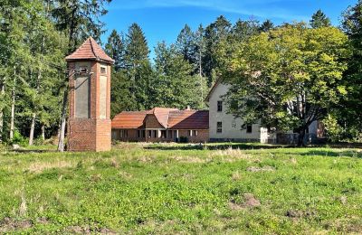 Casa de campo en venta Zegrze Pomorskie, Voivodato de Pomerania Occidental, Imagen 6/7