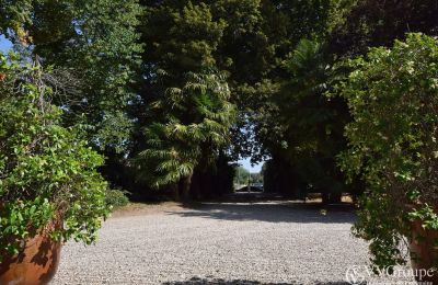 Casa señorial en venta Villeneuve-sur-Lot, Nueva Aquitania, Acceso