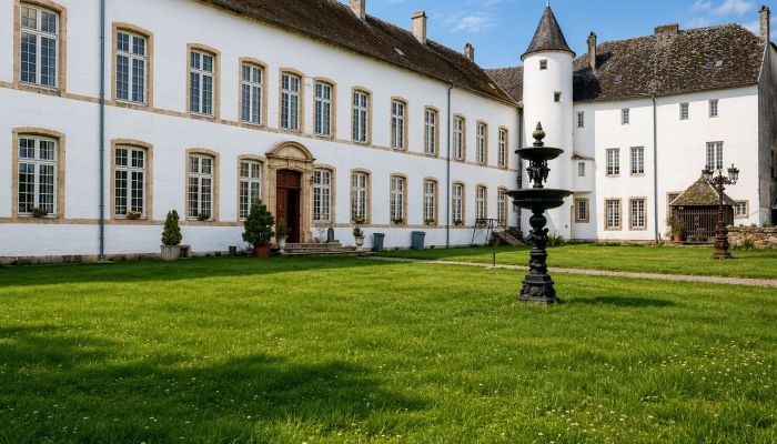 Palacio en venta Roussy-le-Bourg, Grand-Est