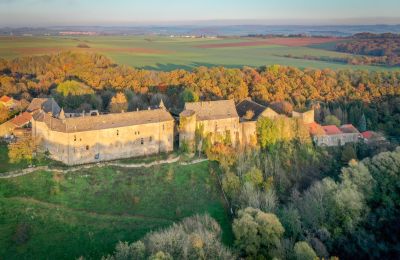 Palacio en venta Roussy-le-Bourg, Grand-Est, Entorno de la propiedad
