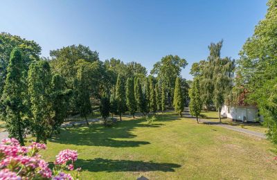 Palacio en venta Mgowo, Pałac w Mgowie, Voivodato de Cuyavia y Pomerania, Jardín del Palacio