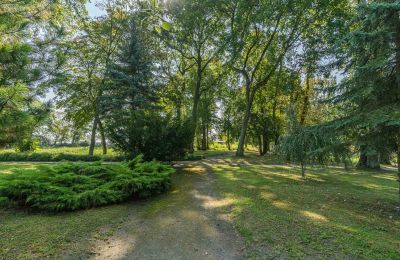 Palacio en venta Mgowo, Pałac w Mgowie, Voivodato de Cuyavia y Pomerania, Propiedad