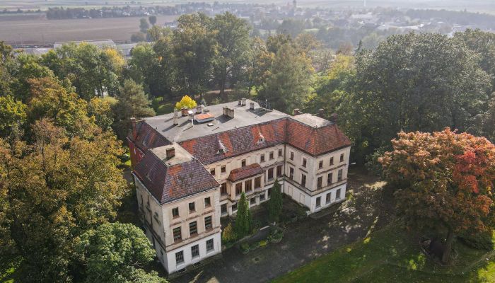  Wojnowice 1