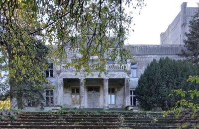 Palacio en venta Górki Dąbskie, Pałac w Górkach Dąbskich, Voivodato de Cuyavia y Pomerania, Imagen 17/22