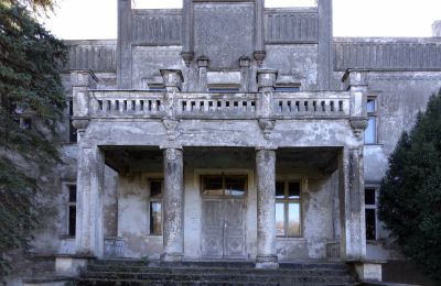 Palacio en venta Górki Dąbskie, Pałac w Górkach Dąbskich, Voivodato de Cuyavia y Pomerania, Pórtico