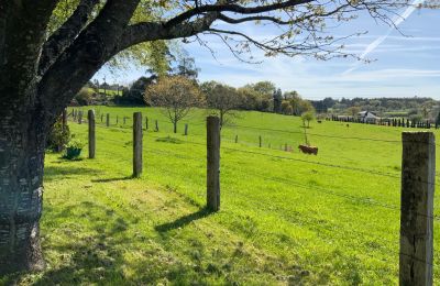 Casa de campo en venta Melide, Cabazás, Galicia, Campo de la propiedad