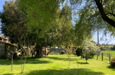 Casa de campo en venta Melide, Cabazás, Galicia, Jardín