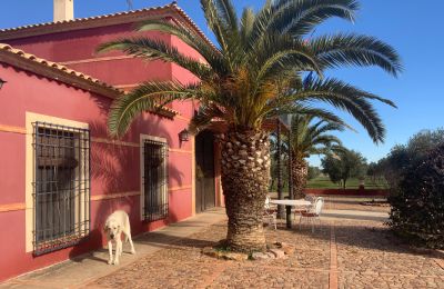 Casa de campo en venta Almagro, Almagro, Castilla-La Mancha, Fachada