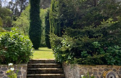 Casa de campo en venta Xove, Acevedo, Galicia, Jardín