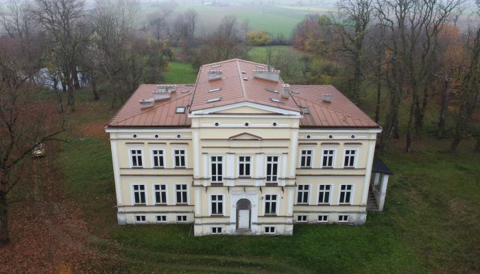 Palacio en venta Karszew, Gran Polonia