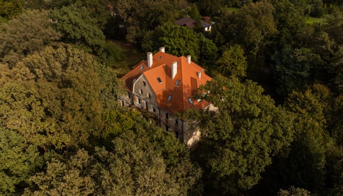 Palacio en venta Wilków, Voivodato de Opole,  Polonia