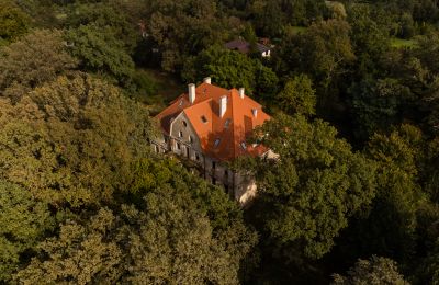 Palacio Wilków, Voivodato de Opole