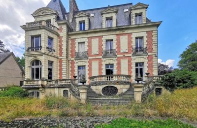 Palacio en venta Le Mans, Países del Loira, Vista posterior