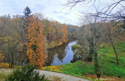 Palacio en venta Chequia, Vista