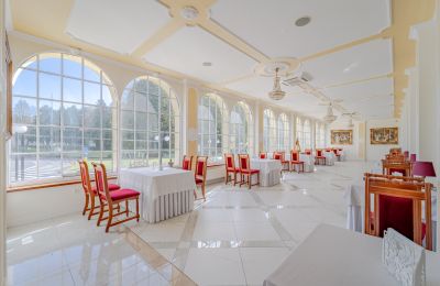 Palacio en venta Krupski Młyn, Voivodato de Silesia, Imagen 5/21