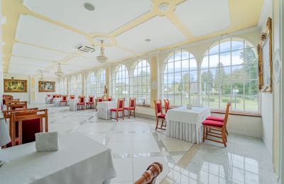 Palacio en venta Krupski Młyn, Voivodato de Silesia, Imagen 6/21