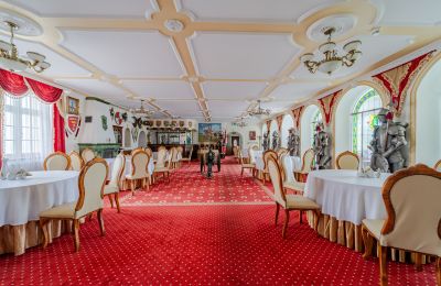 Palacio en venta Krupski Młyn, Voivodato de Silesia, Imagen 3/21
