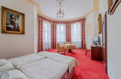 Palacio en venta Krupski Młyn, Voivodato de Silesia, Imagen 17/21