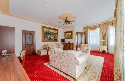 Palacio en venta Krupski Młyn, Voivodato de Silesia, Imagen 8/21