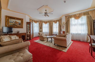 Palacio en venta Krupski Młyn, Voivodato de Silesia, Imagen 9/21
