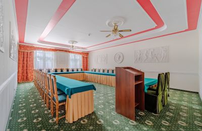 Palacio en venta Krupski Młyn, Voivodato de Silesia, Imagen 14/21