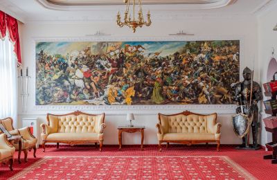 Palacio en venta Krupski Młyn, Voivodato de Silesia, Imagen 7/21