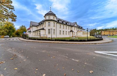 Palacio en venta Krupski Młyn, Voivodato de Silesia, Imagen 19/21