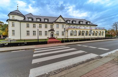 Palacio en venta Krupski Młyn, Voivodato de Silesia, Imagen 18/21