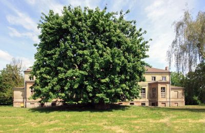 Casa señorial en venta Strzyżno, Pałac w Strzyżnie, Voivodato de Pomerania Occidental, Vista frontal