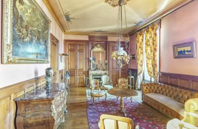 Mansión histórica en venta Vernaison, Auvergne-Rhône-Alpes, Salón