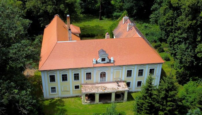 Palacio en venta Plzeňský kraj, okres Klatovy, Klatovy,  Chequia