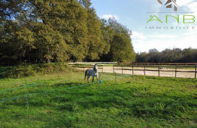 Casa señorial en venta Busserolles, Nueva Aquitania, Imagen 14/27