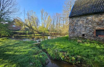 Palacio en venta Astenet, Valonia, Weiher mit Insel ( ideal für Hochzeitzermonien)